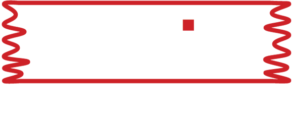 rayin-motors-logo